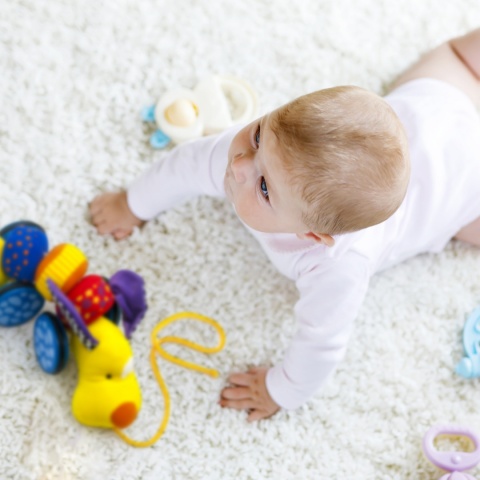 EUROBABY INTERAKTYWNY PIES na kółkach grzechocze