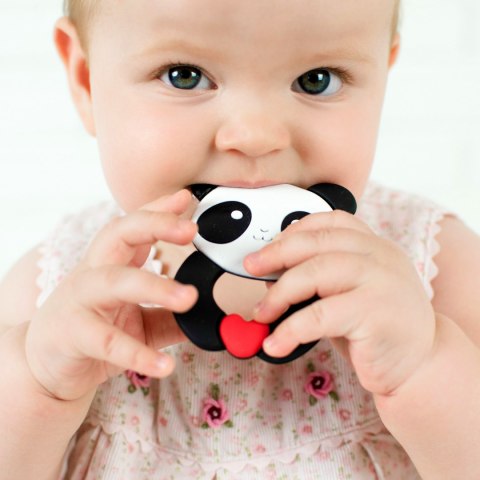 Gryzak silikonowy na ząbkowanie Akuku kontrastowy chłodzi masuje panda Gryzak silikonowy na ząbkowanie Akuku kontrastowy chłodzi masuje panda