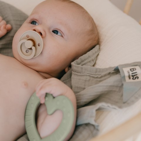 Gryzak BIBS dla niemowląt na ząbkowanie Baby Bite z wypustkami Sage Gryzak BIBS dla niemowląt na ząbkowanie Baby Bite z wypustkami Sage