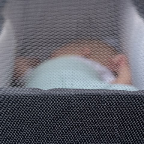 Moskitiera do fotelika samochodowego Babyono uniwersalna biała 80x80x20 cm