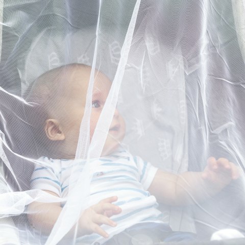 Moskitiera do fotelika samochodowego Babyono uniwersalna biała 80x80x20 cm