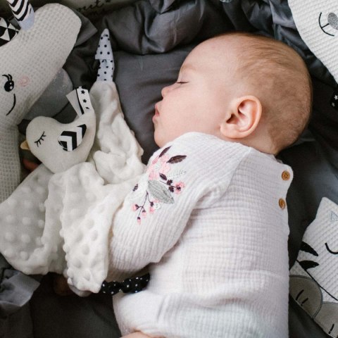 BabyOno PRZYTULANKA KOCYK MINKY 3w1 Delikatny Ptaszek Bawełna 0+ BabyOno PRZYTULANKA KOCYK MINKY 3w1 Delikatny Ptaszek Bawełna 0+