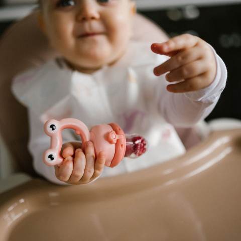 BabyOno Gryzak silikonowy z osłonką do podawania pokarmu i owoców Frog 6+ BabyOno Gryzak silikonowy z osłonką do podawania pokarmu i owoców Frog 6+