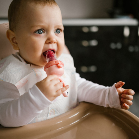 BabyOno Gryzak silikonowy z osłonką do podawania pokarmu i owoców Frog 6+ BabyOno Gryzak silikonowy z osłonką do podawania pokarmu i owoców Frog 6+