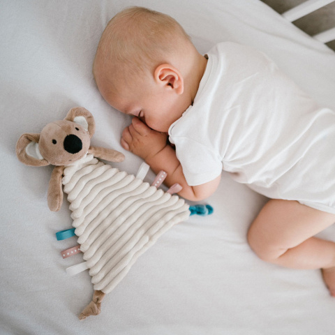Przytulanka pluszowa sensoryczna kocyk grzechotka Babyono Koala Charlie Przytulanka pluszowa sensoryczna kocyk grzechotka Babyono Koala Charlie