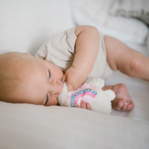 Przytulanka pluszowa sensoryczna szeleścik Babyono miękka Lama Lulu różowa Przytulanka pluszowa sensoryczna szeleścik Babyono miękka Lama Lulu różowa
