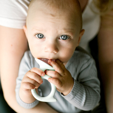 Gryzak sensoryczny silikonowy BabyOno na ząbkowanie Snail zielono różowy Gryzak sensoryczny silikonowy BabyOno na ząbkowanie Snail zielono różowy