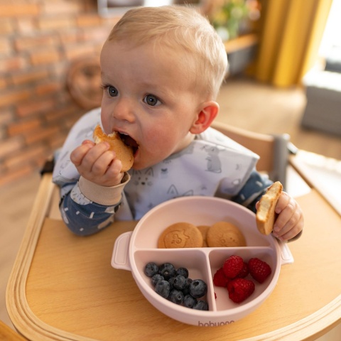 Talerzyk z przyssawką Babyono silikonowy z przykrywką do nauki różowy 6+