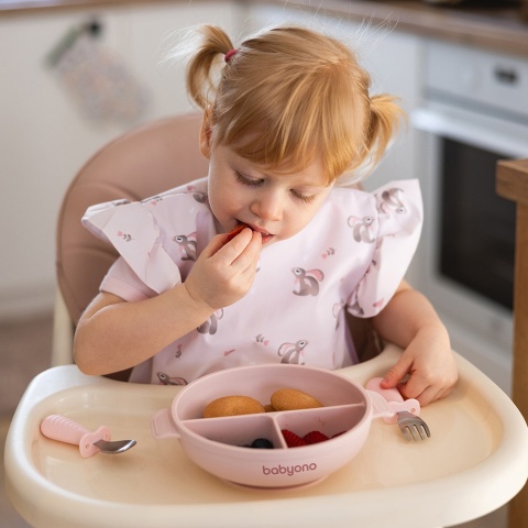 Talerzyk z przyssawką Babyono silikonowy z przykrywką do nauki różowy 6+