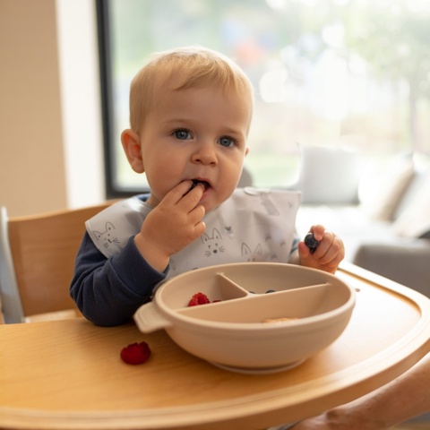 Talerzyk z przyssawką Babyono silikonowy z przykrywką do nauki beżowy 6+