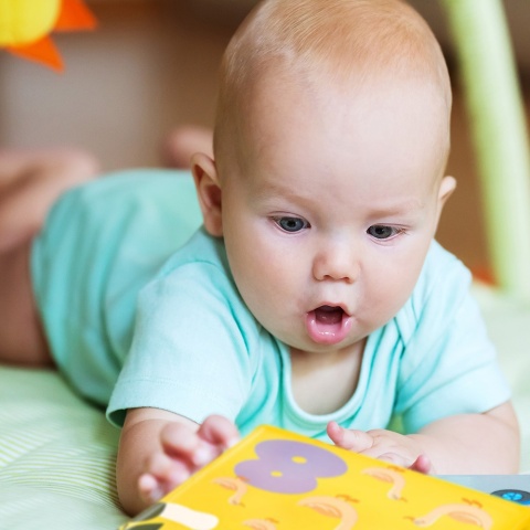 Książeczka sensoryczna Akuku edukacyjna miękka do wody cyferki zwierzątka