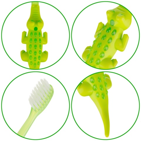 Szczoteczka do zębów Akuku dla dzieci do nauki miękka zielony krokodyl 12+