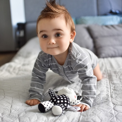 Miś pluszowy zabawka sensoryczna kontrastowa zawieszka przytulanka Akuku