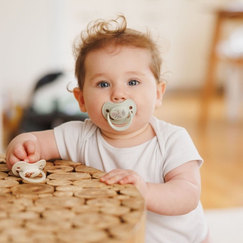 Smoczek uspokajający anatomiczny BabyOno silikon świeci 6m+ 2pak sage ecru