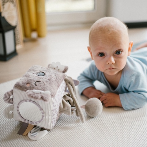 Zabawka sensoryczna kostka Babyono miś Koala Coco grzechotka lusterko plusz