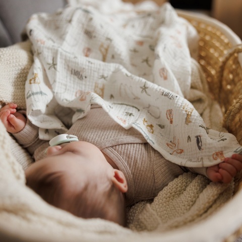 Pieluchy muślinowe Babyono pieluszki 70x70 antybakteryjne miękkie x3 zieleń