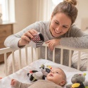 Zabawka sensoryczna Babyono duża piłeczka kontrastowa grzechotka 0+