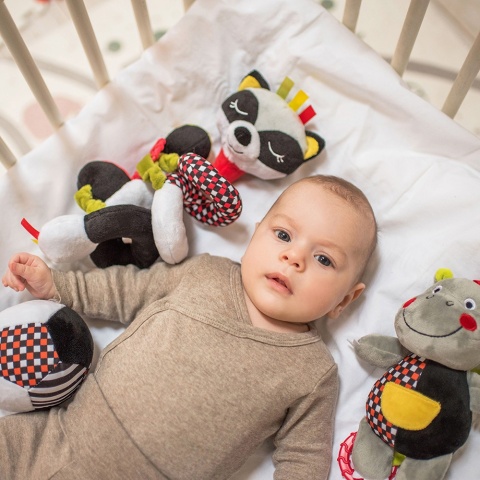 Zabawka sensoryczna Babyono duża piłeczka kontrastowa grzechotka 0+